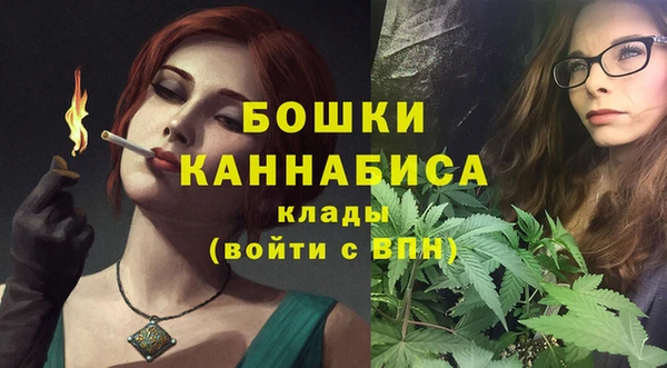 spice Арсеньев