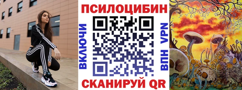 где найти наркотики  Уржум  Псилоцибиновые грибы Psilocybine cubensis 
